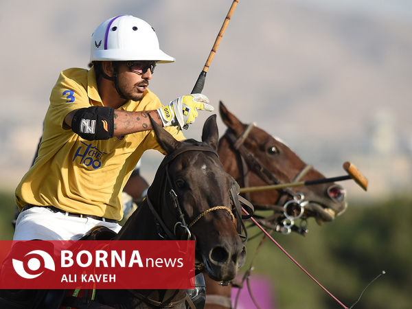 لیگ ملی چوگان گرامیداشت استاد مهدیقلی ذوالفقاری