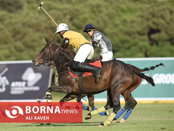 لیگ ملی چوگان گرامیداشت استاد مهدیقلی ذوالفقاری