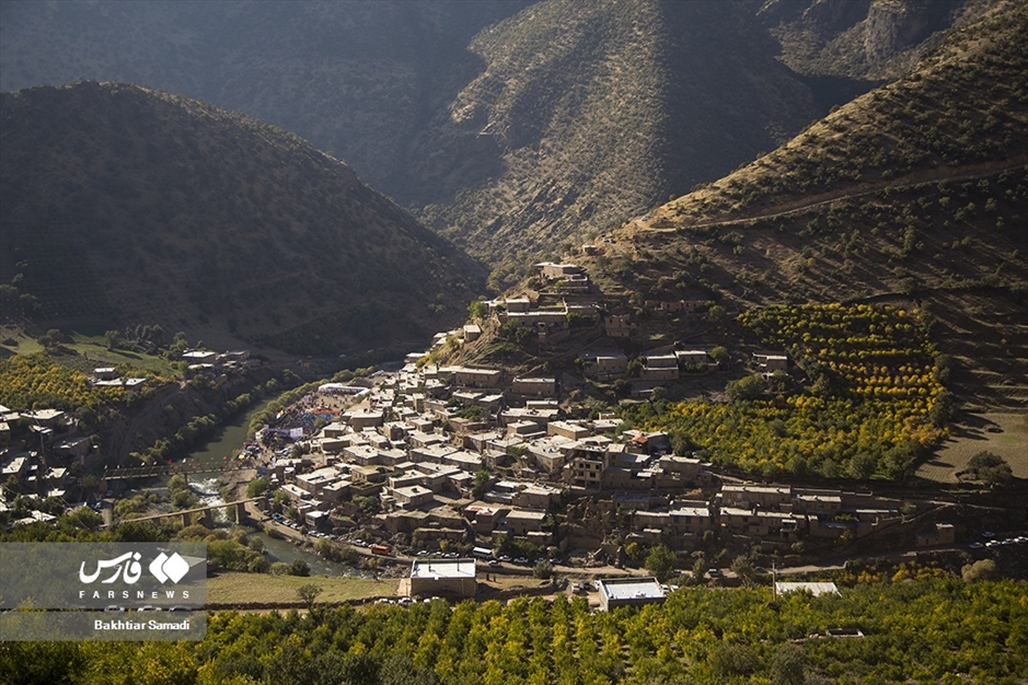 جشنواره «انار هورامان»