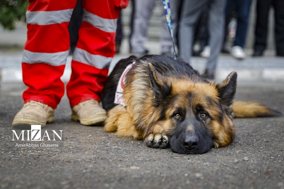 مراسم تجهیز مراکز عملیاتی شعب جمعیت هلال احمر استان تهران