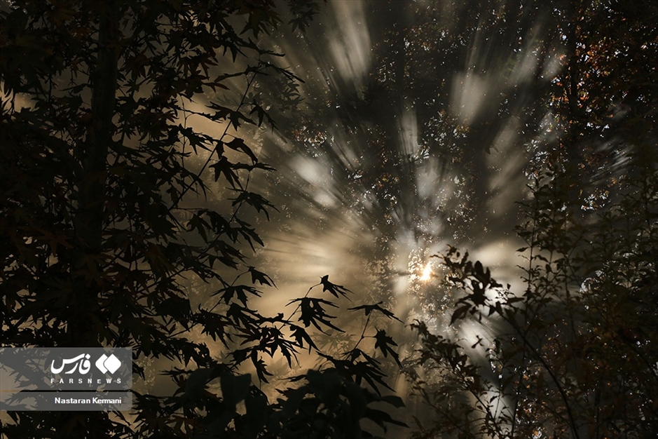 پاییزِ البرز