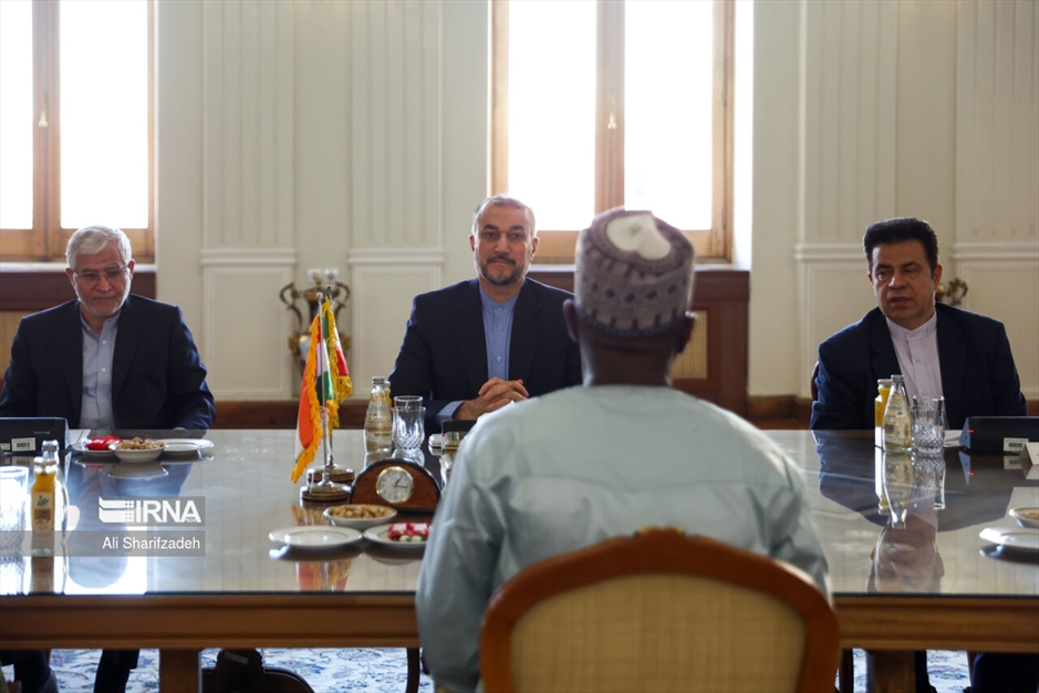 دیدار وزرای خارجه نیجر و ایران