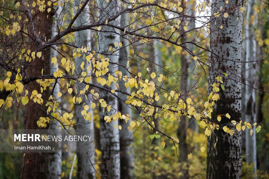 طبیعت پاییزی «عباس‌آباد» همدان