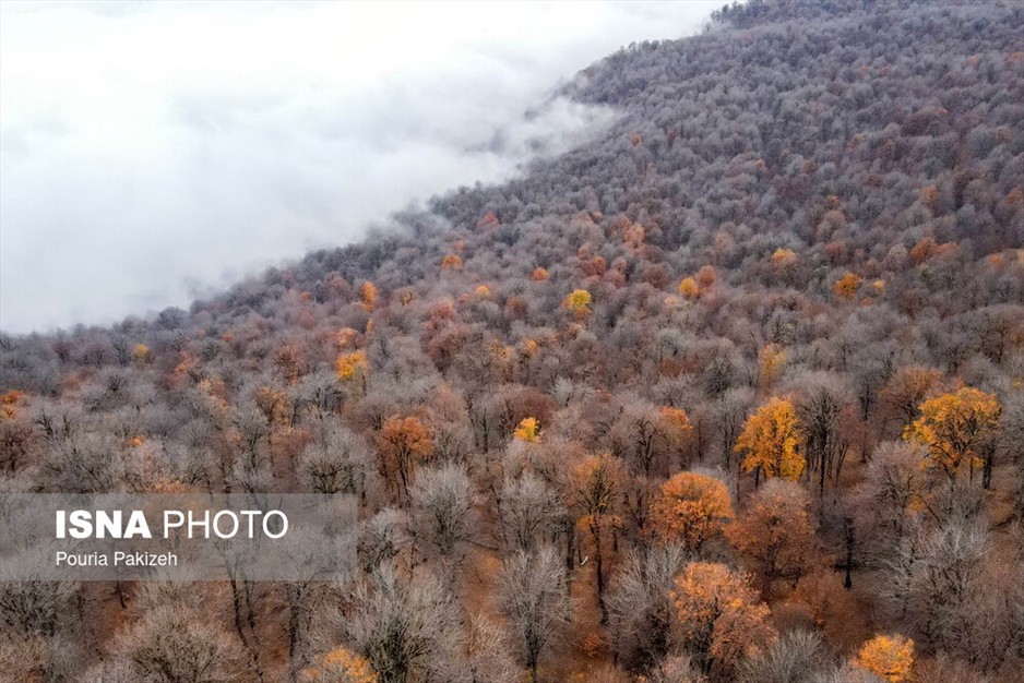 خزان در جنگل «مازیچال» - مازندران