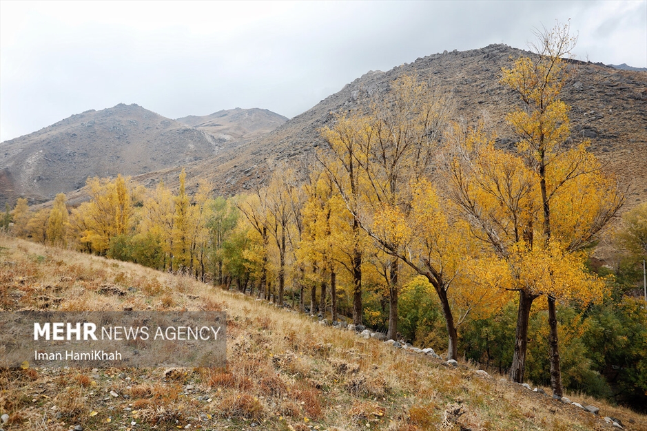 طبیعت پاییزی «عباس‌آباد» همدان