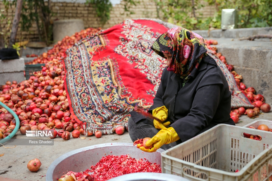 باغ های انار فاروق