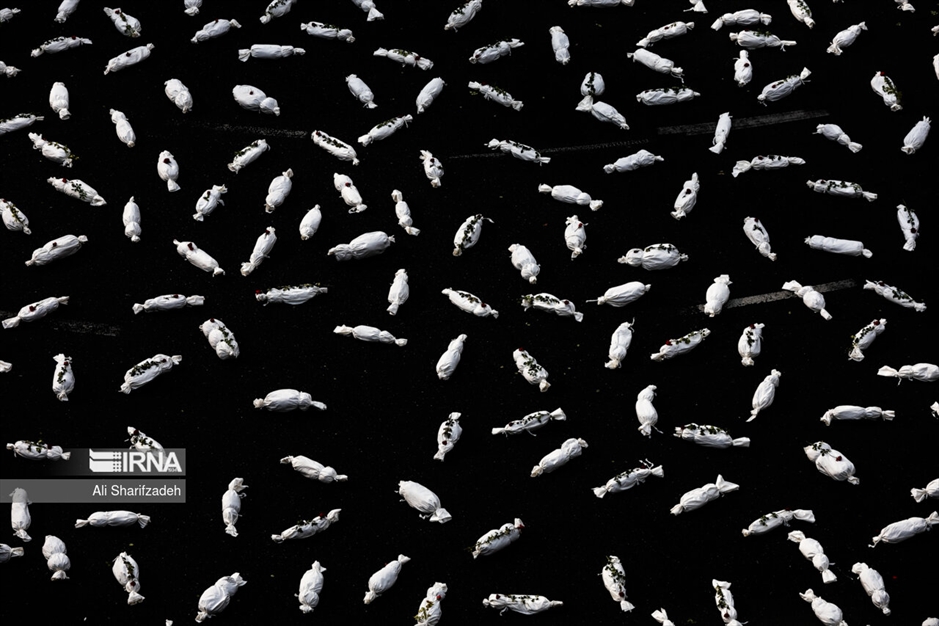 چیدمان «سمفونی کشته گان»