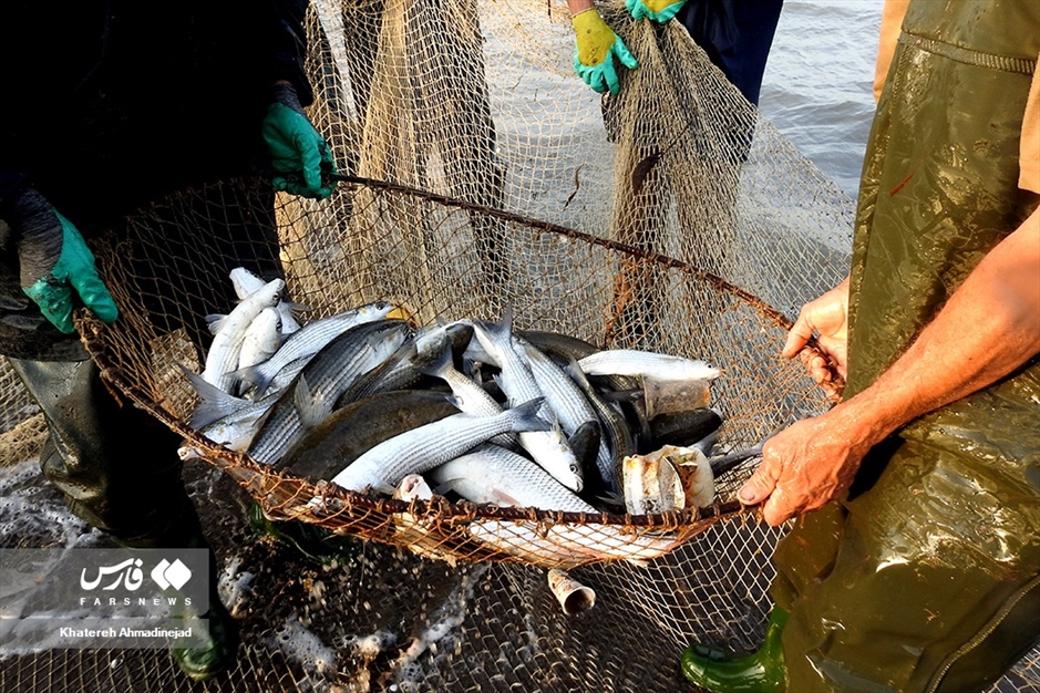 روزهای آغازین صیادی در گیلان