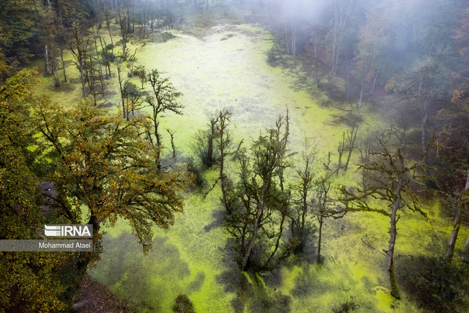 پاییز در مرداب دیوک
