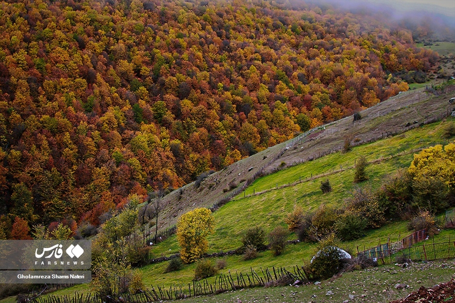 فصل رنگ‌ها