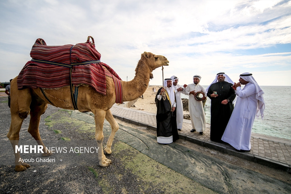 جشنواره موسیقی جنوب کشور در کیش