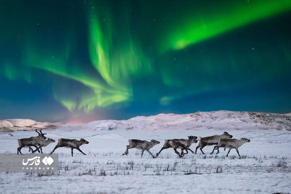شفق قطبی؛ پدیده‌ جذّابِ جوّی