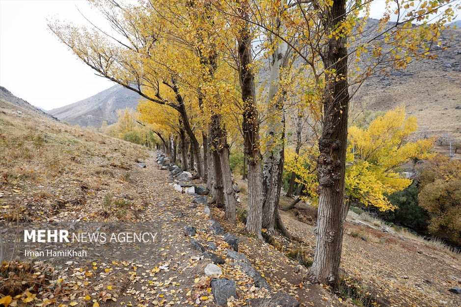 طبیعت پاییزی «عباس‌آباد» همدان