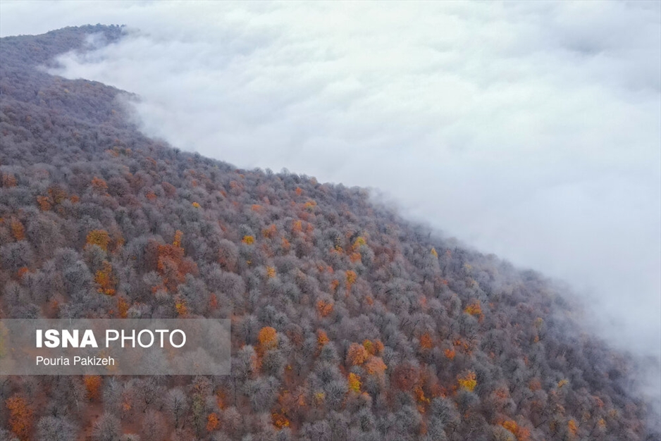 خزان در جنگل «مازیچال» - مازندران