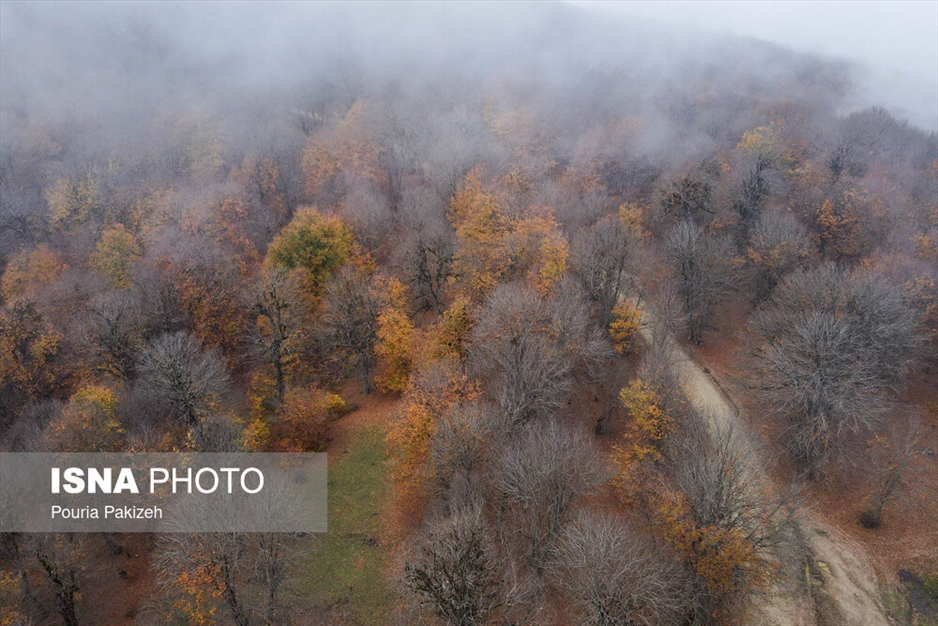 خزان در جنگل «مازیچال» - مازندران