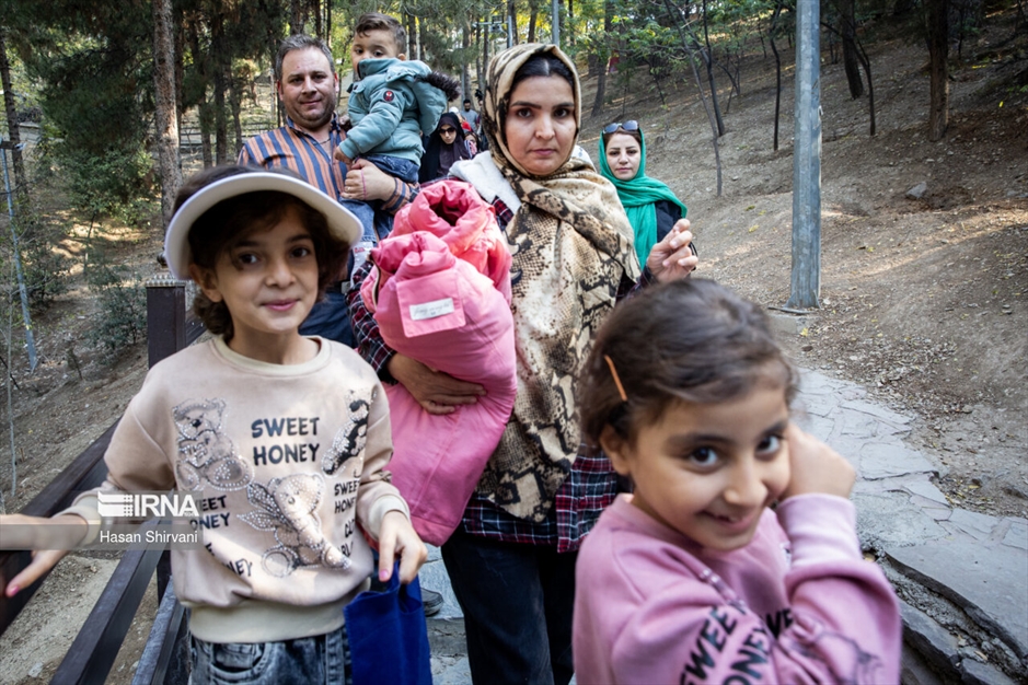  پیاده روی خانوادگی