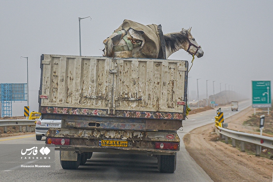 کورس اسب سواری پاییزه «جَرگلان»
