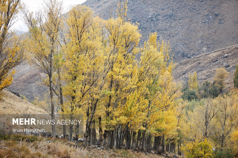 طبیعت پاییزی «عباس‌آباد» همدان