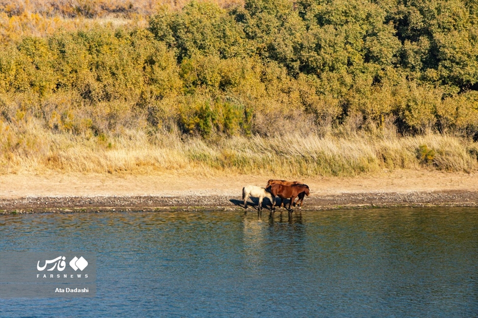 رودخانه «اَرس»