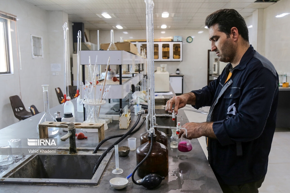 تولید شکر سفید