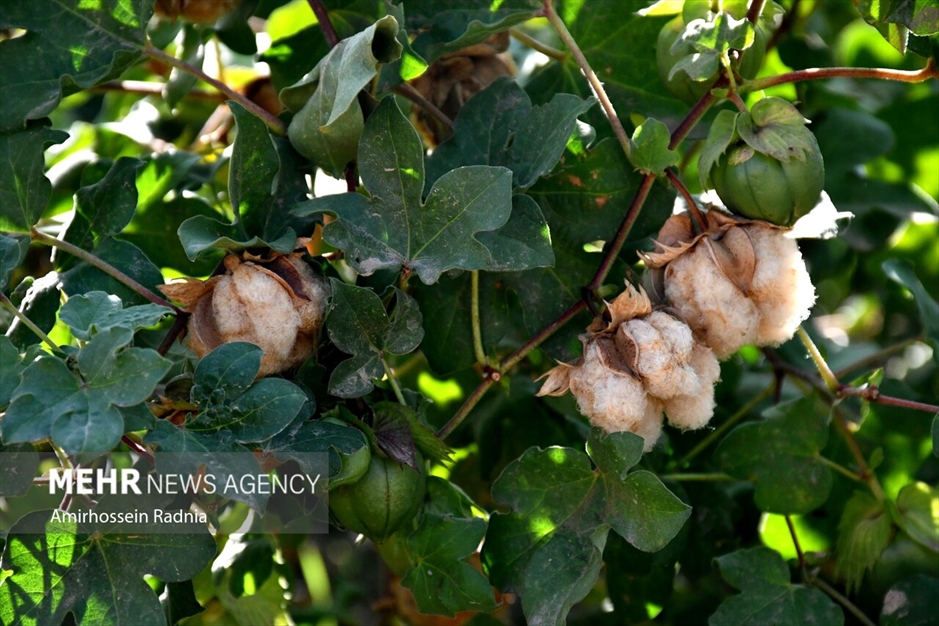 شهر تاریخی «خوسف»