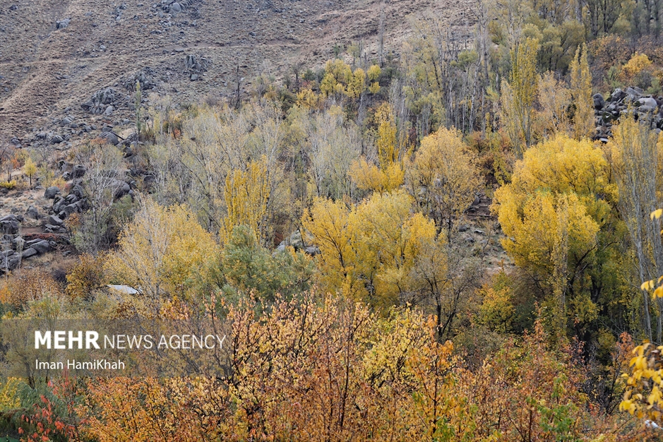 طبیعت پاییزی «عباس‌آباد» همدان