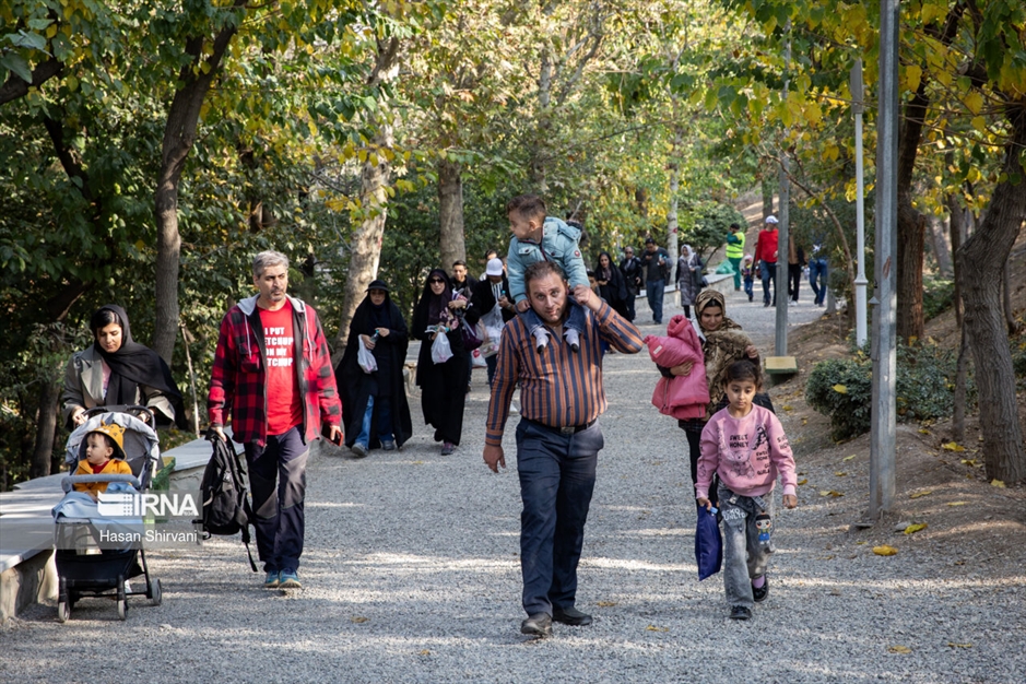  پیاده روی خانوادگی