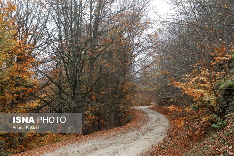 خزان در جنگل «مازیچال» - مازندران