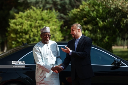 دیدار وزرای خارجه نیجر و ایران