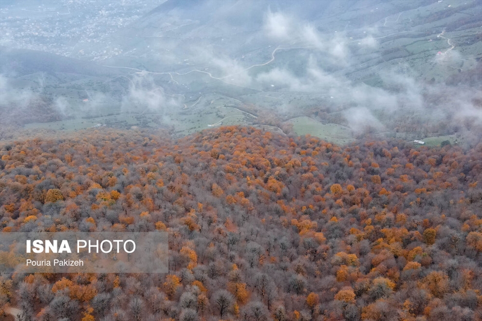 خزان در جنگل «مازیچال» - مازندران