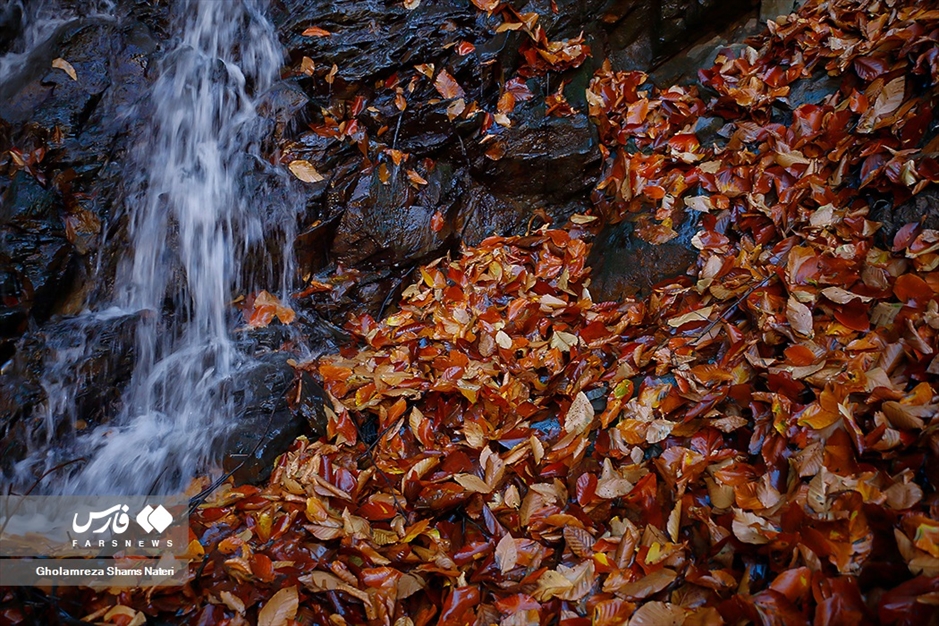 فصل رنگ‌ها