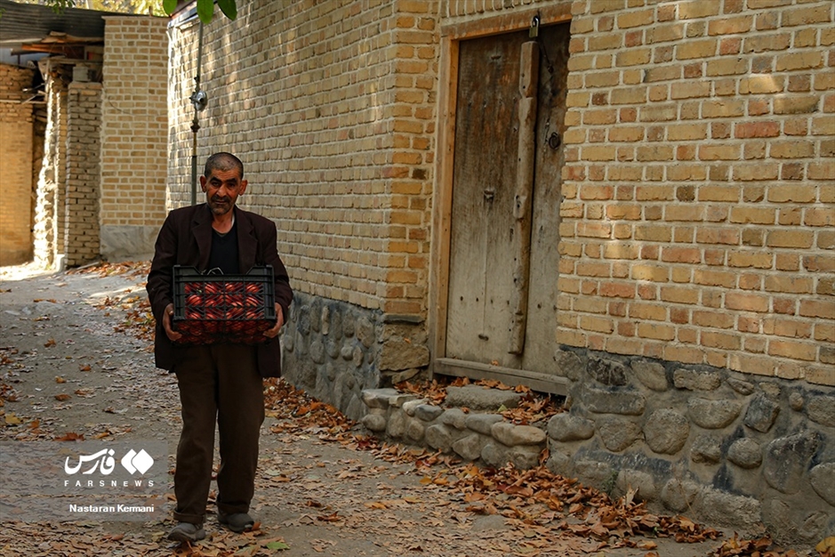 پاییزِ البرز