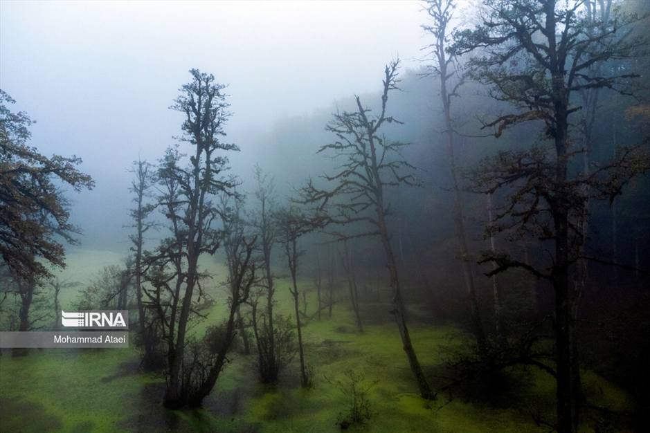 پاییز در مرداب دیوک