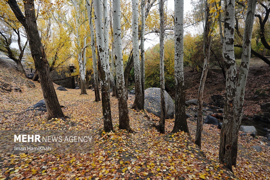 طبیعت پاییزی «عباس‌آباد» همدان