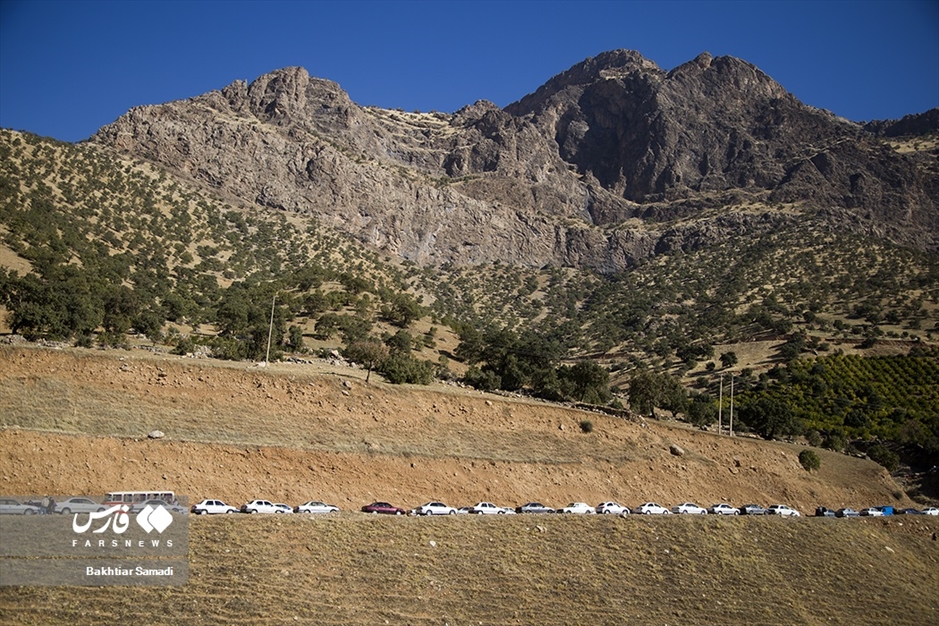 جشنواره «انار هورامان»