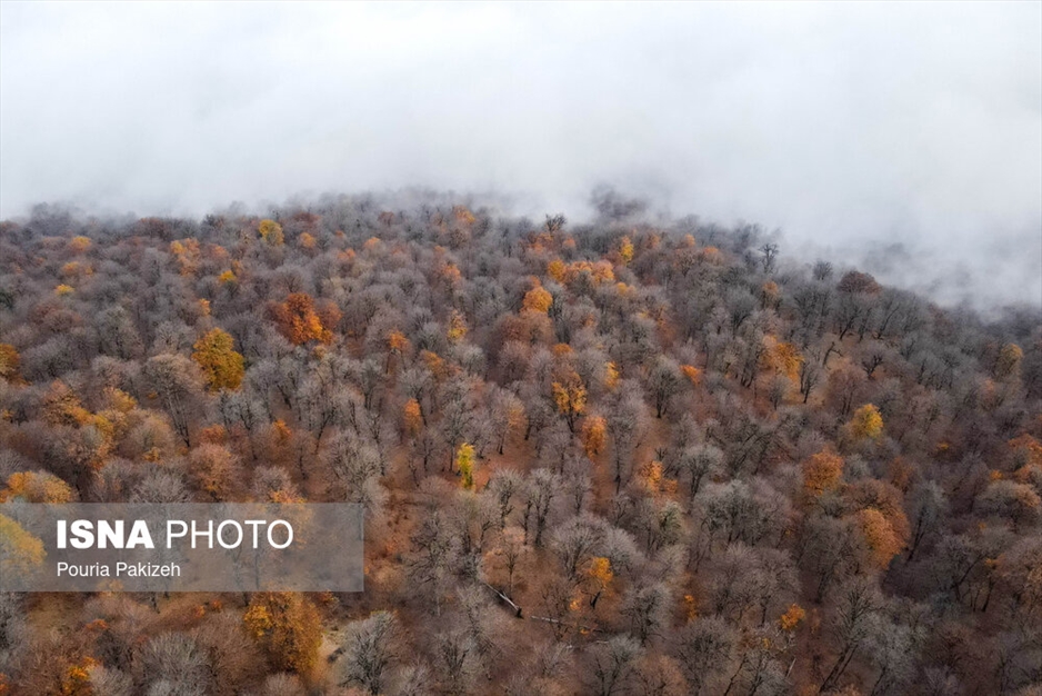 خزان در جنگل «مازیچال» - مازندران