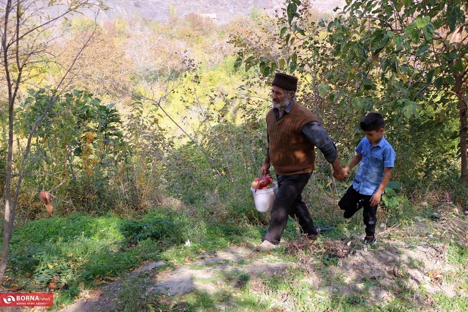 جشنواره انار ارس