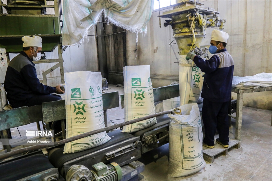 تولید شکر سفید