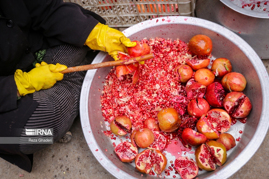 باغ های انار فاروق