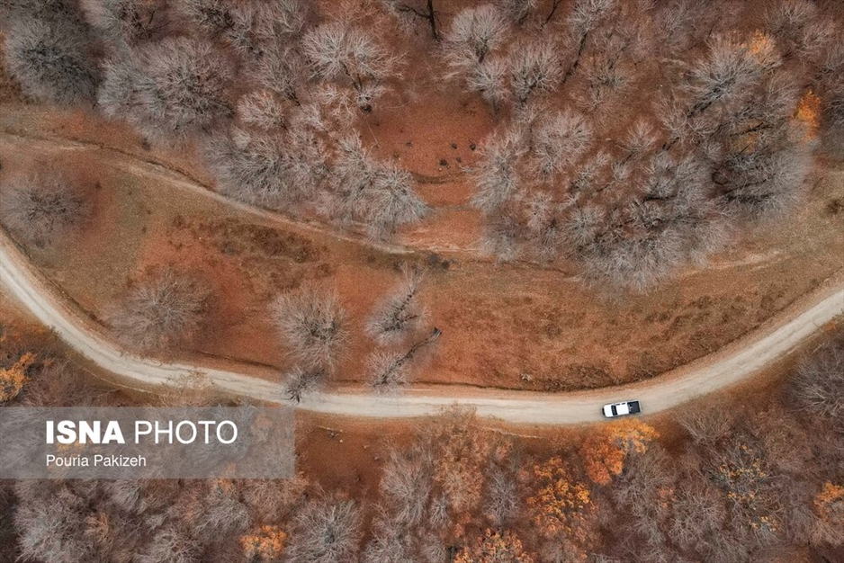 خزان در جنگل «مازیچال» - مازندران