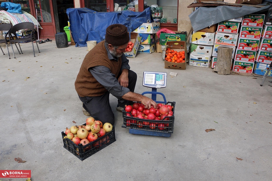 جشنواره انار ارس