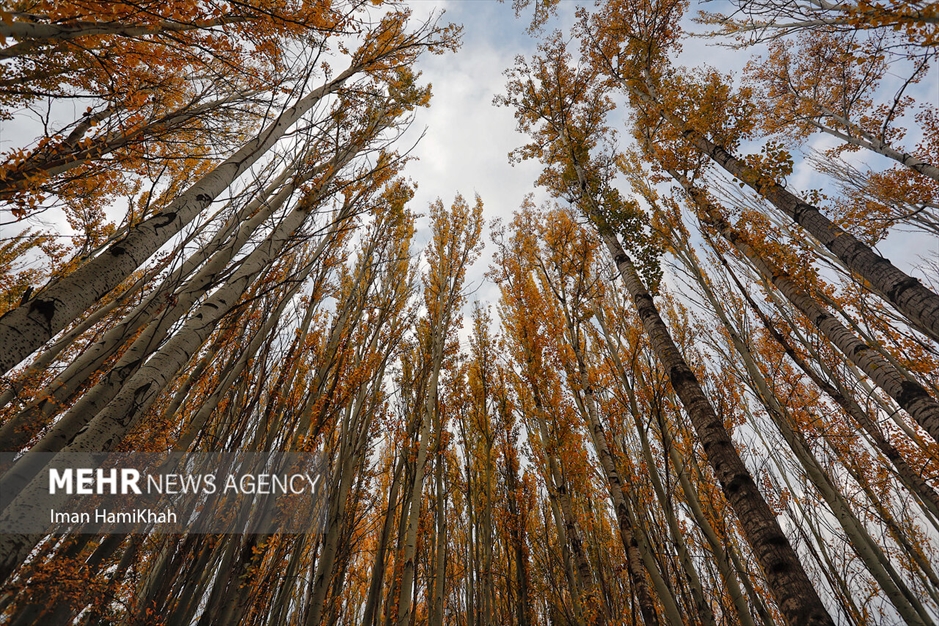طبیعت پاییزی «عباس‌آباد» همدان