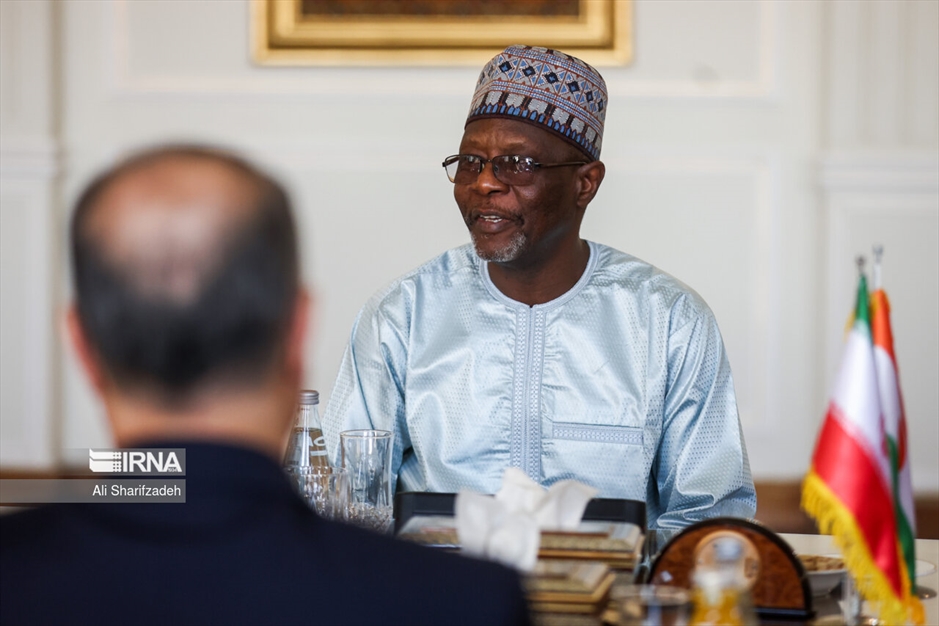 دیدار وزرای خارجه نیجر و ایران