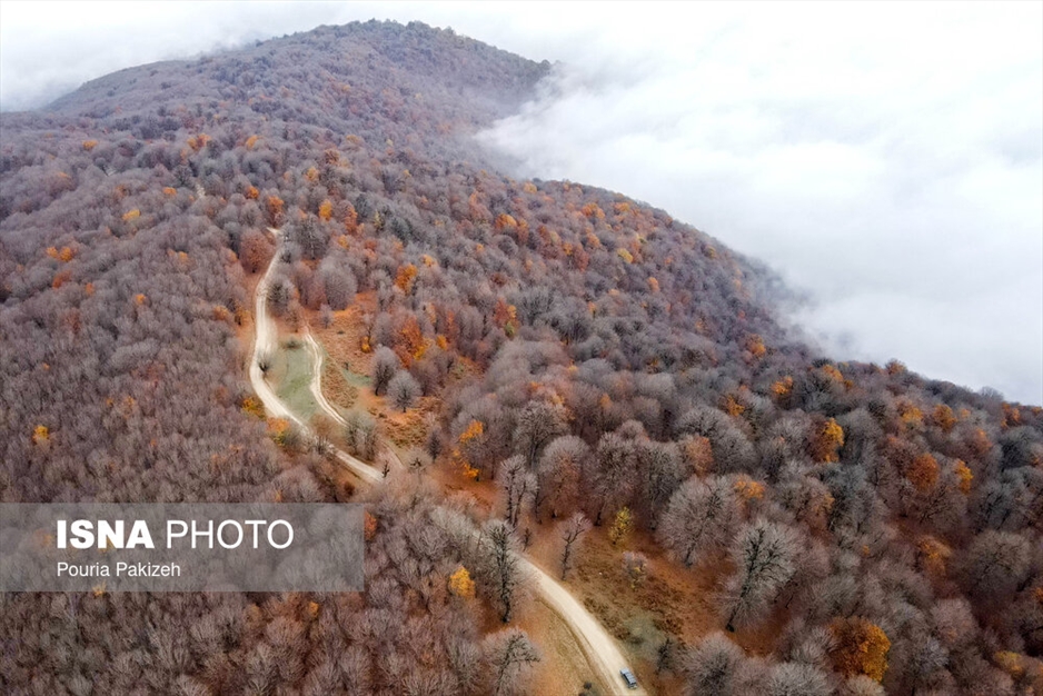 خزان در جنگل «مازیچال» - مازندران