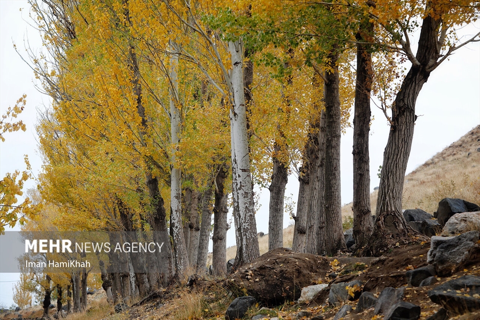 طبیعت پاییزی «عباس‌آباد» همدان