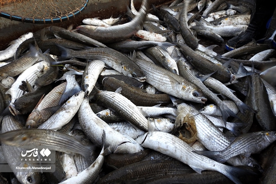 روزهای آغازین صیادی در گیلان