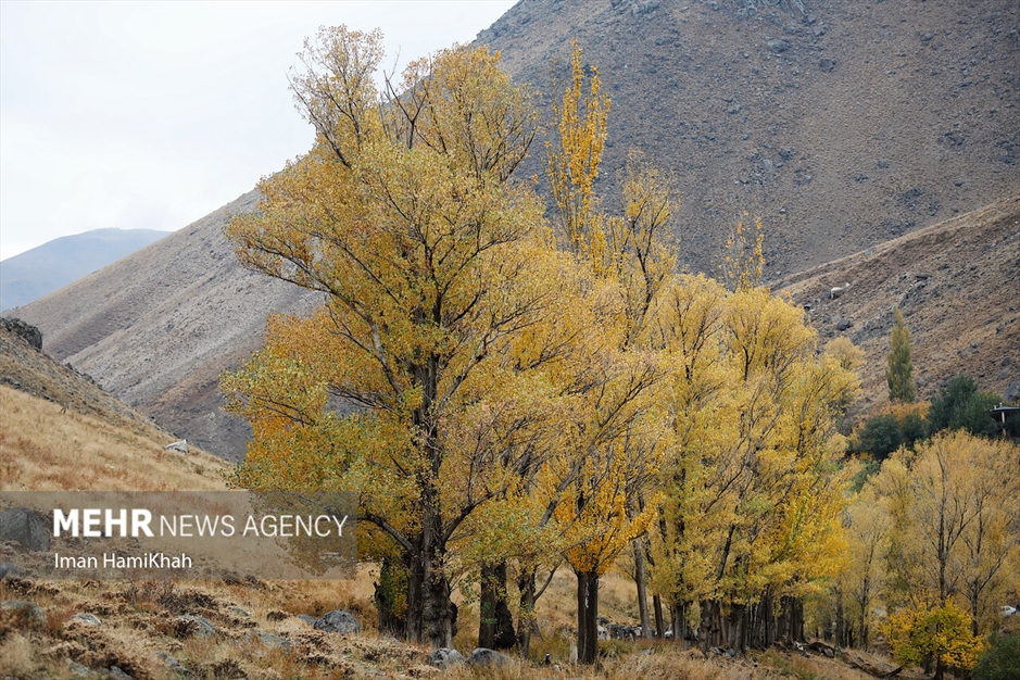 طبیعت پاییزی «عباس‌آباد» همدان