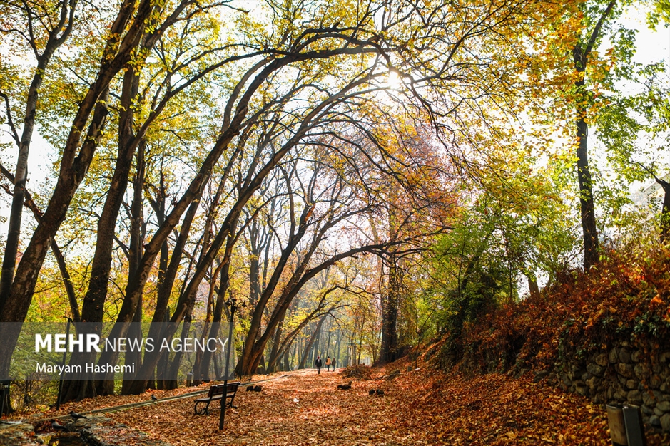 طبیعت پاییزی تهران