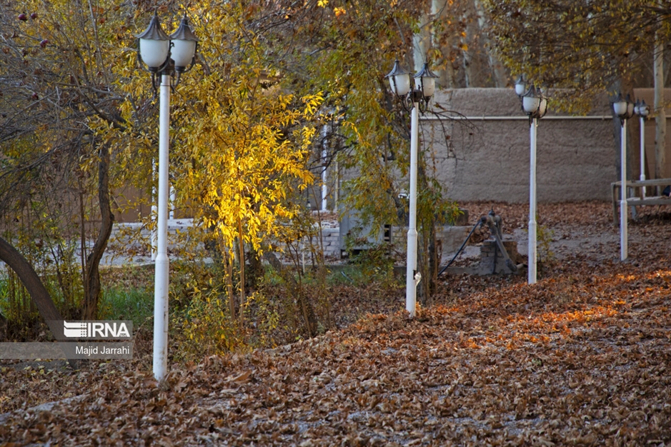 پاییز باغ پهلوان پور