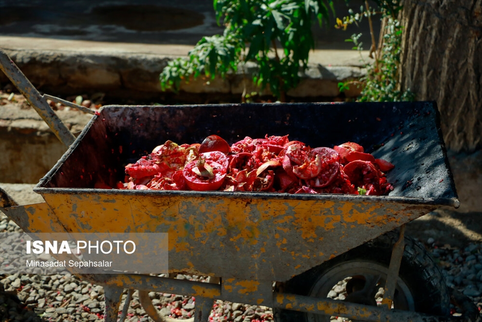 رب‌گیری انار - ساوه